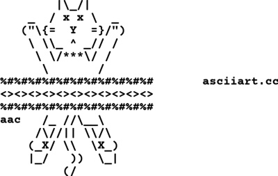 Animal Cat