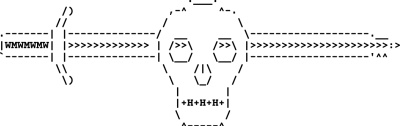 Skull Human Skeleton